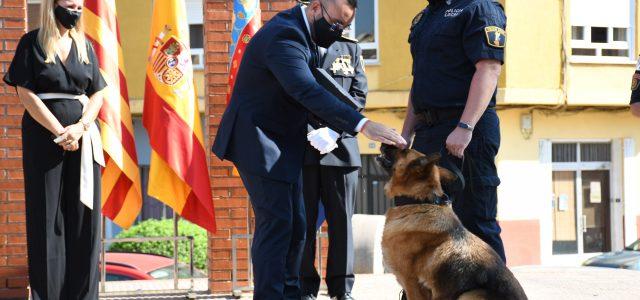 La Policia Local de Vila-real celebra el patró de San Miguel amb l’anunci de vint incorporacions