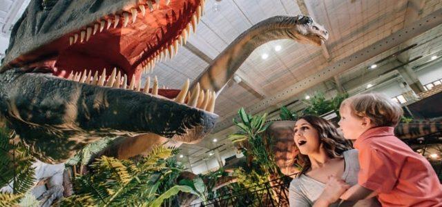 Dinosaurs Tour: l’exposició més gran de dinosaures animatrònics arriba a Vila-real