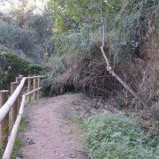 Una setmana més sense la Ruta Botànica de Vila-real