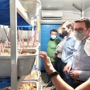 Casabó visita la Cooperativa Catòlica Agrària i demana agilitzar les ajudes als citricultors