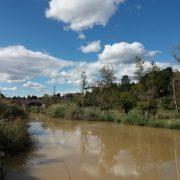 Vila-real triplicarà l’espai verd al Millars amb un passeig entre el pont de Santa Quitèria i la N-340 i un parc urbà al Madrigal