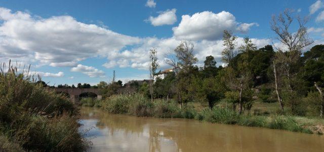 Vila-real triplicarà l’espai verd al Millars amb un passeig entre el pont de Santa Quitèria i la N-340 i un parc urbà al Madrigal