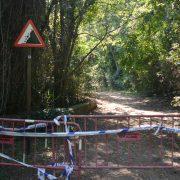 La Ruta Botànica de Vila-real continuarà tancada les pròximes setmanes per seguretat
