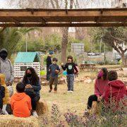 El projecte Aula Viva Naturalment de Vila-real ha comptat amb la participació de més de 1.000 alumnes