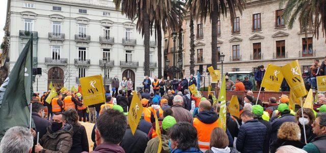 8.000 agricultors col·lapsen València reclamant solucions per al sector