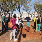 Els alumnes de sis col·legis de Vila-real commemoren el Dia de l’Arbre