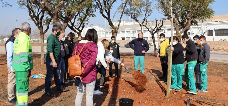 Els alumnes de sis col·legis de Vila-real commemoren el Dia de l’Arbre