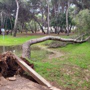 Vila-real tanca el circuit de running i la plaça del Pastoret de l’ermita