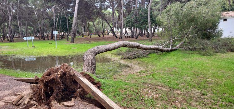 Vila-real tanca el circuit de running i la plaça del Pastoret de l’ermita