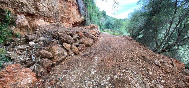 La ruta Botànica de Vila-real obri novament al públic després de les obres de restauració