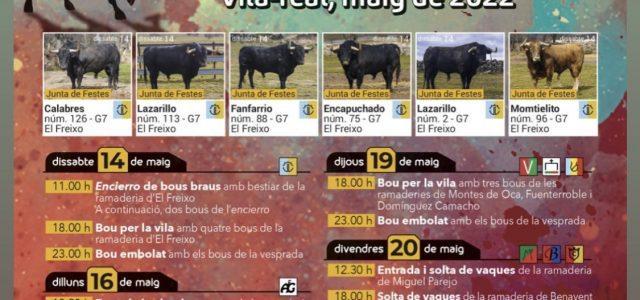 Tornen els bous per la vila: Coneix el calendari taurí per a les Festes de Sant Pasqual