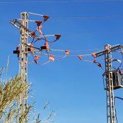 Rectifiquen tres postes elèctriques on fa uns mesos va morir electrocutada una àguila