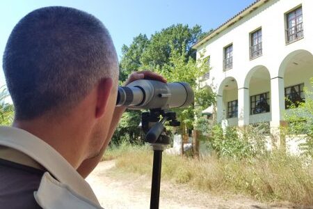 Cens d’avions comuns del paratge de la Desembocadura del riu Millars a l’ermita 