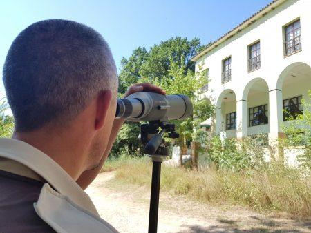 Cens d’avions comuns del paratge de la Desembocadura del riu Millars a l’ermita 