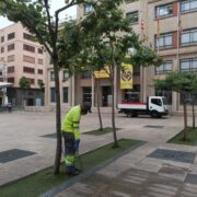 Vila-real reforça els tractaments per a evitar la proliferació de mosquits en el terme municipal 