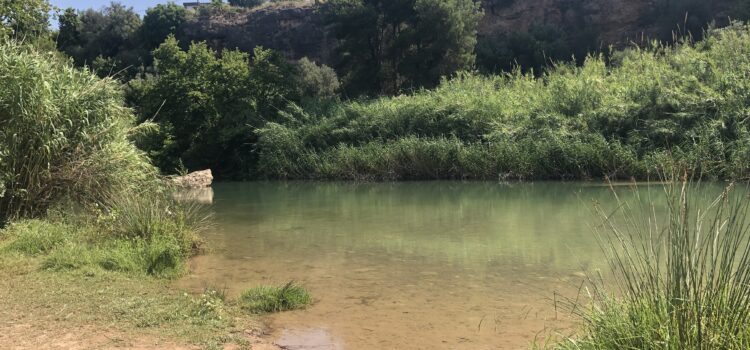 El Termet de la Mare de Déu de Gràcia: l’alternativa d’oci per a gaudir de l’estiu a Vila-real