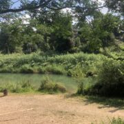 Gaudeix d’un passeig botànic a l’assut de Vila-real