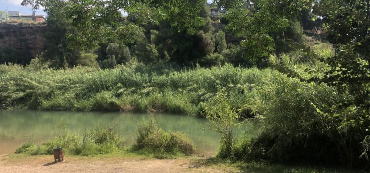 Gaudeix d’un passeig botànic a l’assut de Vila-real