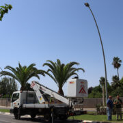 Vila-real renova un miler de bombetes de l’enllumenat públic per led per a estalviar consum