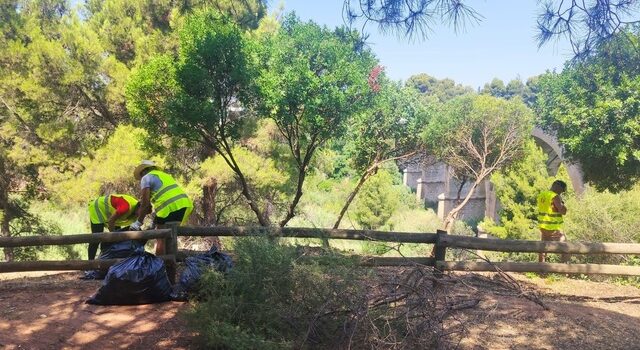 Serveis Públics avança en la millora del Termet amb la neteja i adequació de pinar i mirador