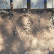 El jaciment arqueològic del torrelló del Boverot de l’època del Bronze valencià pateix un acte vandàlic