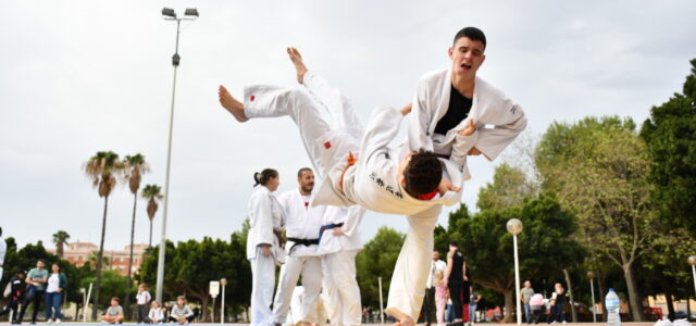 El parc de la Maiorasga acull aquest matí una exhibició de judo