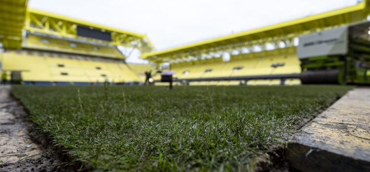 Les obres avancen en el Estadio de la Cerámica: Es comença a plantar la gespa