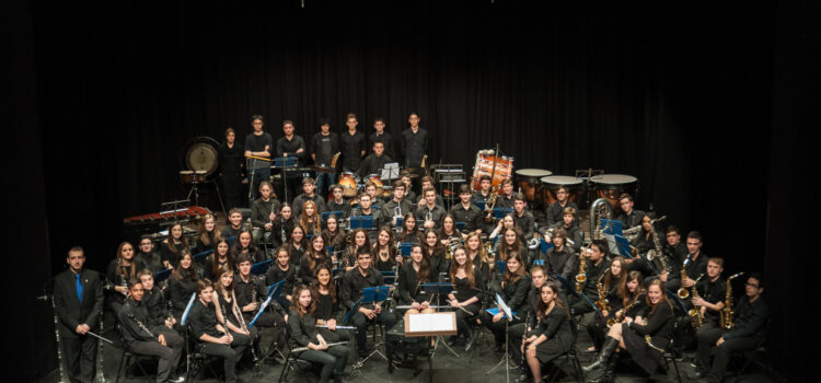 Cap de setmana cultural a Vila-real: Música per Santa Cecília i teatre de Luis Zahera