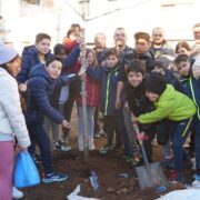 Els escolars celebren el Dia de l’Arbre en la Comunitat Valenciana
