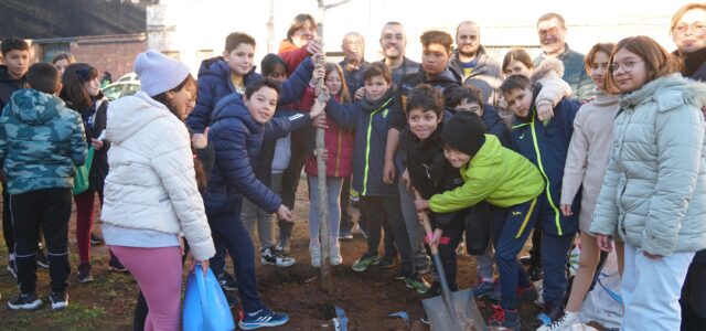 Els escolars celebren el Dia de l’Arbre en la Comunitat Valenciana