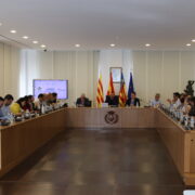 El Ple aprova incorporar més de 1,1 milions de romanents per a assegurar serveis i projectes