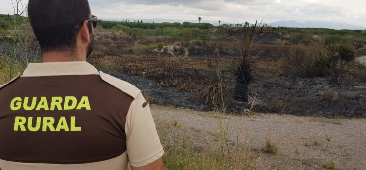 Un xicotet incendi afecta una zona del tram baix del Paisatge Protegit de la Desembocadura del Millars