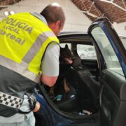 La Unitat Canina de Vila-real entrena amb la secció de la Policia Local de Borriana