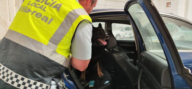 La Unitat Canina de Vila-real entrena amb la secció de la Policia Local de Borriana