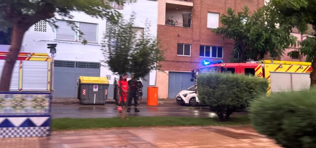 Una tempesta provoca la caiguda d’un arbre a Vila-real i 15 litres de precipitacions