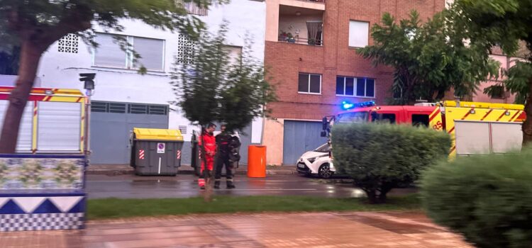 Una tempesta provoca la caiguda d’un arbre a Vila-real i 15 litres de precipitacions