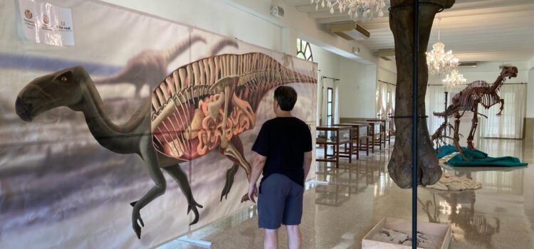 Prehistòria, paleontologia o fauna: consulta les exposicions que es poden veure al Termet