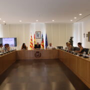 Vila-real constitueix el Consell Rector de Festes en la nova legislatura