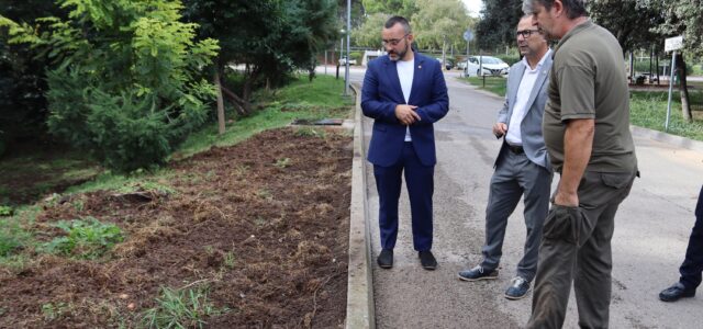 Benlloch planteja instal·lar sistemes de control de senglars en infraestructura municipal