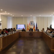 Vila-real s’exposa a la fallida municipal en anul·lar el Constitucional la pròrroga de les expropiacions pendents