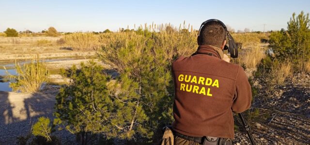 El Consorci del Millars manté el cens amb l’avistament de dos exemplars d’arpellot