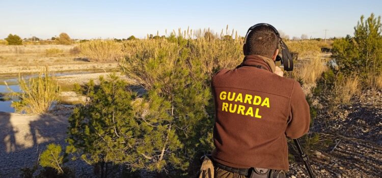 El Consorci del Millars manté el cens amb l’avistament de dos exemplars d’arpellot