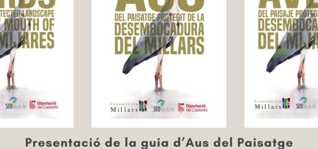 El Consorci del Riu Millars presentarà la seua guia oficial d’aus el dia 29 a Vila-real