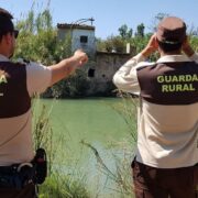 El vídeo viral de Wizzy Gang en l’assut de Vila-real que posa en alerta per la seua perillositat