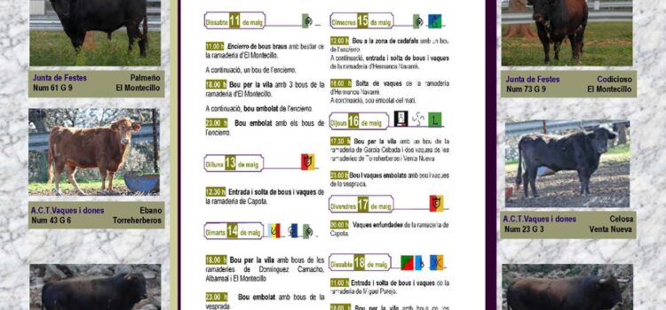 Vila-real tanca el cartell taurí de les festes de Sant Pasqual amb 11 bous cerrils i dos vaques