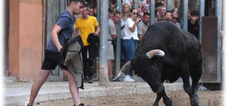 À Punt retransmet en directe la Vesprada de bou per la vila des de Vila-real este dissabte