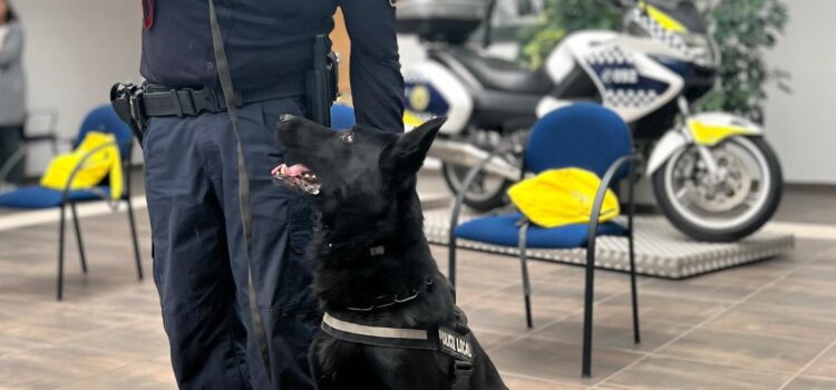 Vila-real reforça la seguretat i l’atenció davant emergències durant les festes de Sant Pasqual
