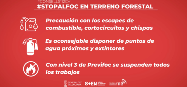 Què fer en cas d’incendi forestal: Consells per a previndre el foc en terreny forestal