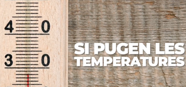Alerta per altes temperatures: Salut Pública recomana extremar precaucions