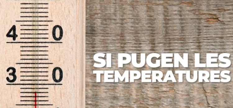 Alerta per altes temperatures: Salut Pública recomana extremar precaucions